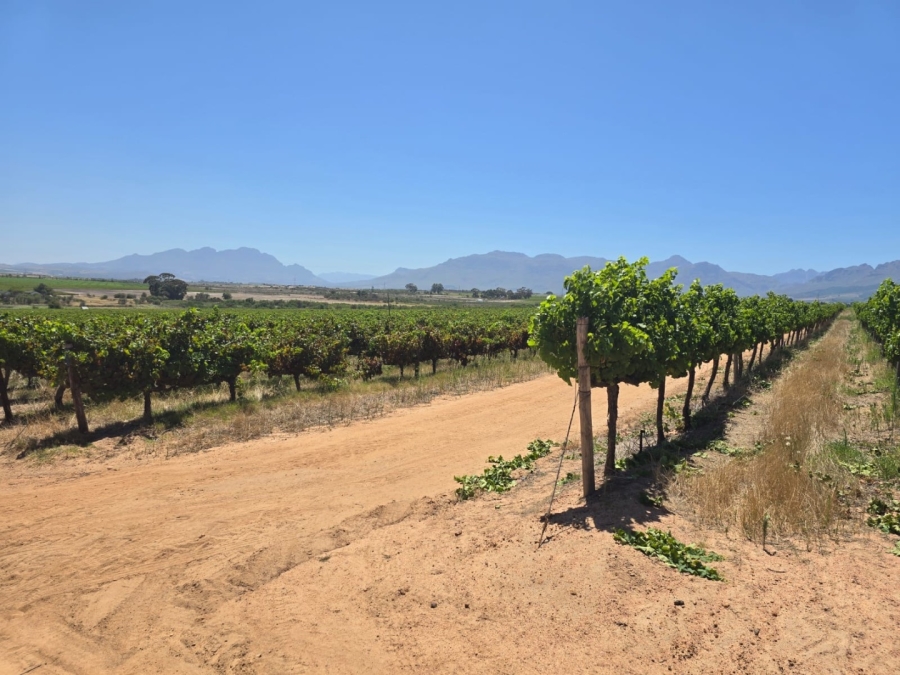 5 Bedroom Property for Sale in Stellenbosch Farms Western Cape